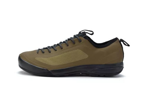 鳥(niǎo)鞋新色煥新登場(chǎng) 極致體驗(yàn)，悅享足下風(fēng)采